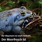 Kleine Appartement Schneverdingen