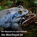 Appartement Kleine