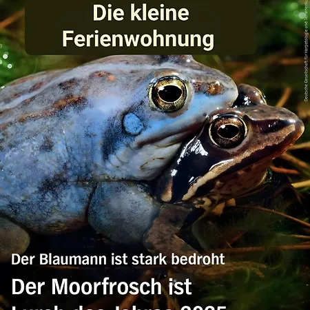 Kleine Apartament