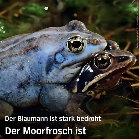 Apartament Kleine